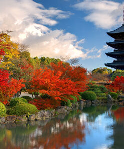 JAPÓN ESPIRITUAL MAR - DIC 2026 -12 noches 12 Kyoto autumn