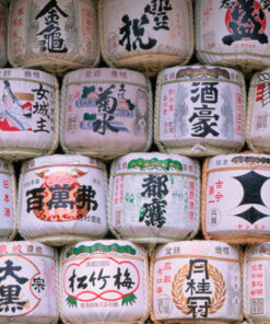 JAPÓN BÁSICO NOV 2025 - DIC 2026 - 6 noches 7 Japón básico 6 noches