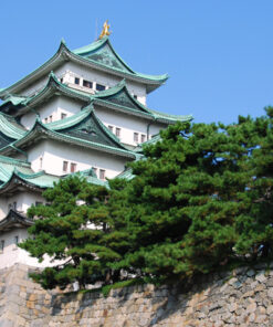 Nagoya Castle 1