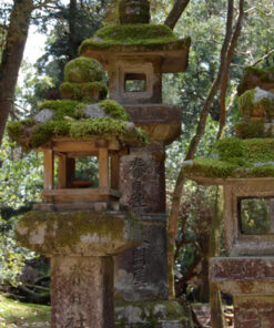 Nara Kasuga Taisha Shrine