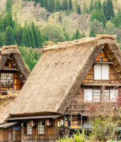 Viajes a Japón - Shirakawago