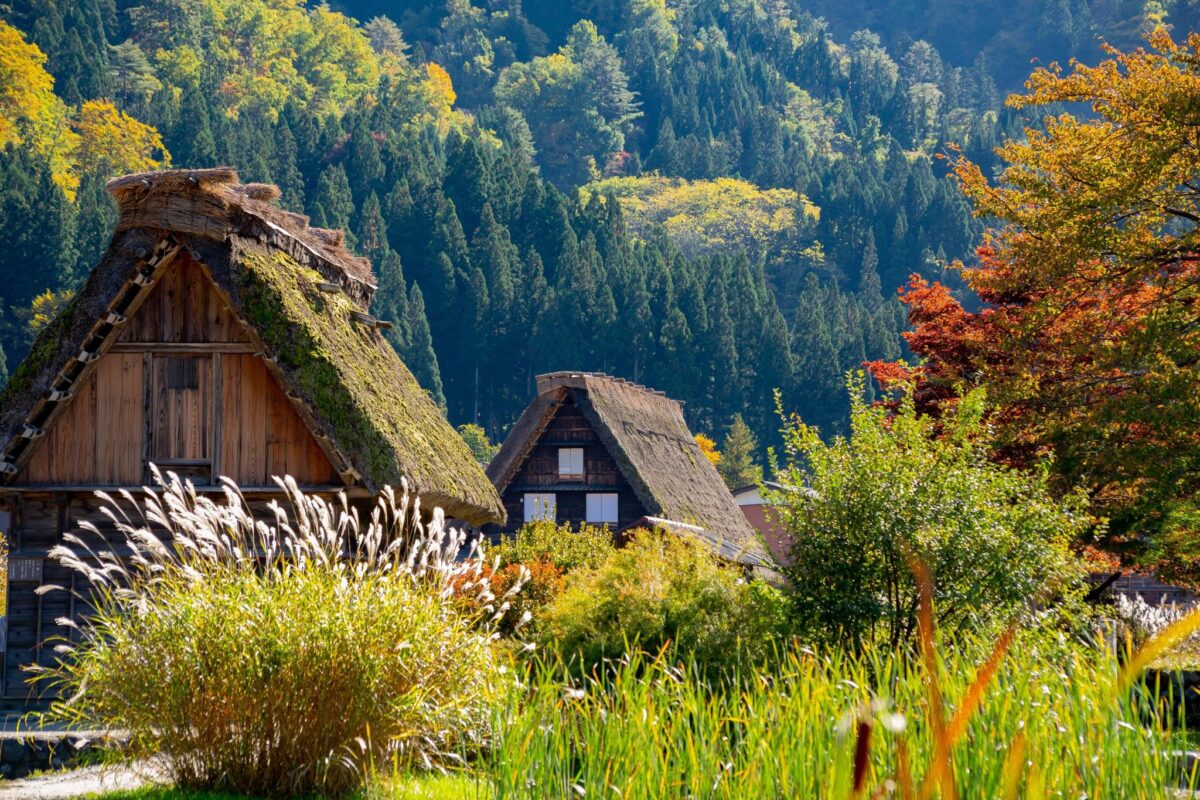 04 GU0010ES Shirakawago 1