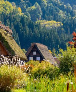 04 GU0010ES Shirakawago 1