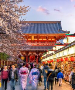 Los primeros Sakura (SOLO TIERRA) – 20 de febrero al 01 de marzo de 2026 14 02 GU0011ES Templo Senso ji Asakusa