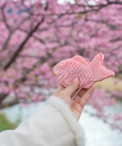 Los primeros Sakura (SOLO TIERRA) – 20 de febrero al 01 de marzo de 2026 16 07 GU0011ES Dulce tipico de primavera