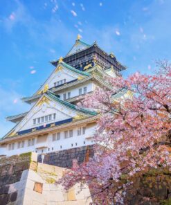 Los primeros Sakura (SOLO TIERRA) – 20 de febrero al 01 de marzo de 2026 23 08 GU0011ES Castillo de Osaka en primavera
