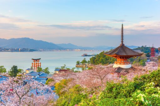 Semana Santa y Sakura: vive el espectáculo del cerezo en flor en Japón – 30 de marzo al 10 de abril de 2026