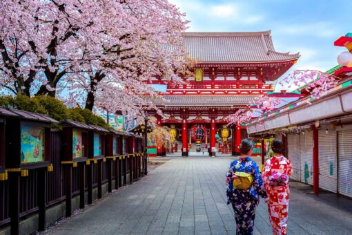 Semana Santa en Japón: entre cerezos en flor y montañas – 28 de marzo al 07 de abril de 2026