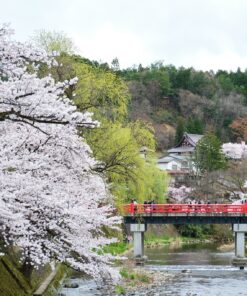 Semana Santa en Japón: entre cerezos en flor y montañas – 28 de marzo al 07 de abril de 2026 23 10 GU0004ES Takayama en primavera