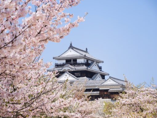 Sakura Selecto en Semana Santa: viaja a Japón con vuelo directo en clase Business – 02 de abril al 14 de abril de 2026