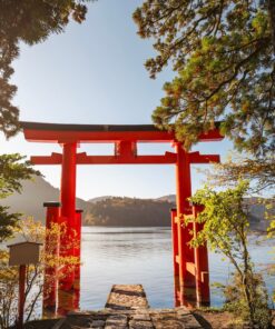 Semana Santa y Sakura: vive el espectáculo del cerezo en flor en Japón – 30 de marzo al 10 de abril de 2026 24 2 GU0001ES Santuario Hakone