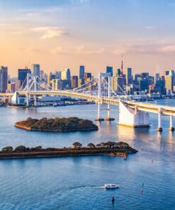 Semana Santa en Japón: entre cerezos en flor y montañas – 28 de marzo al 07 de abril de 2026 20 2 GU0004ES Odaiba Tokio