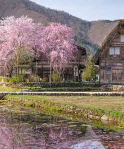Semana Santa en Japón: entre cerezos en flor y montañas – 28 de marzo al 07 de abril de 2026 19 3 GU0004ES Aldea de Shirakawa go Japon