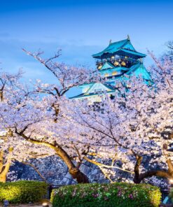 6 GU0012ES Castillo de Osaka