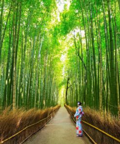 Semana Santa en Japón: entre cerezos en flor y montañas – 28 de marzo al 07 de abril de 2026 14 8 GU0004ES Bosque de bambu en Arashiyama Kioto