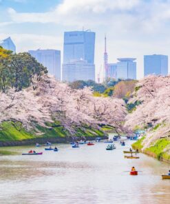 8 GU0012ES Foso Chidorigafuchi Tokio