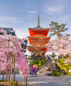 GU0001ES 2 Kiyomizu dera en Kioto durante la epoca de Sakura