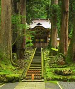 Alternative view of Semana Santa en Japón: entre cerezos en flor y montañas – 22 MAR - 7 ABR (11 noches)