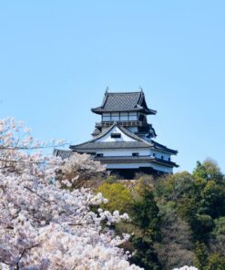 GU0004ES 09 castillo de inuyama en epoca de sakura