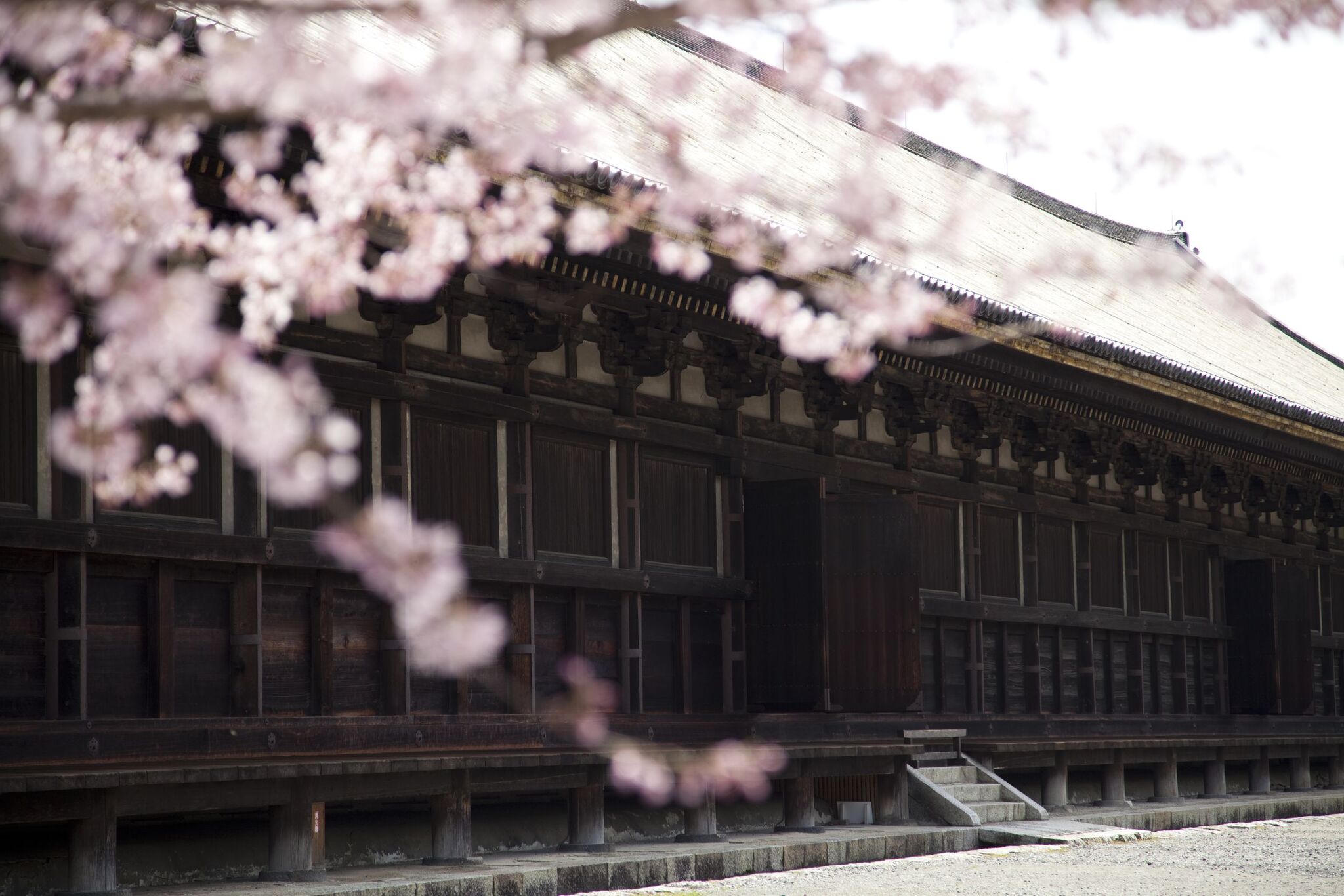 JAPÓN BÁSICO CON OSAKA - ABR - NOV 2026 - 7 noches 10 JAPÓN BÁSICO CON OSAKA - ABR - NOV 2026 - 7 noches - Image 10