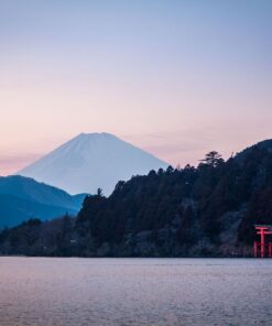 JAPÓN BÁSICO CON OSAKA - ABR - NOV 2026 - 7 noches