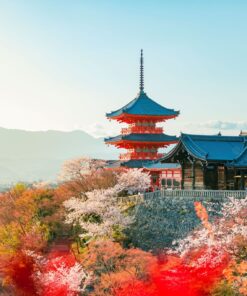 JAPÓN BÁSICO CON OSAKA - ABR - NOV 2026 - 7 noches 16 3 SIC0012ES