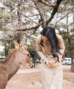 JAPÓN BÁSICO CON OSAKA - ABR - NOV 2026 - 7 noches 17 4 SIC0012ES