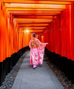 JAPÓN BÁSICO CON OSAKA - ABR - NOV 2026 - 7 noches 21 8 SIC0012ES