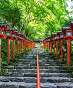 Descubriendo el Encanto de Japón en Mayo – 14-26 mayo de 2026