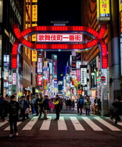 9 GU0002ES Kabukicho por la noche Tokio