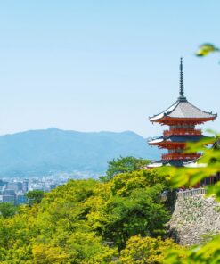 Descubriendo el Encanto de Japón en Mayo – 17-30 mayo de 2027 21 Descubriendo el Encanto de Japón en Mayo – 17-30 mayo de 2027 - Image 9