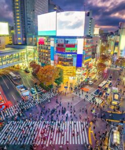 Momiji Zen – 12-23 nov 2026 24 10 GU0003ES shibuya tokyo