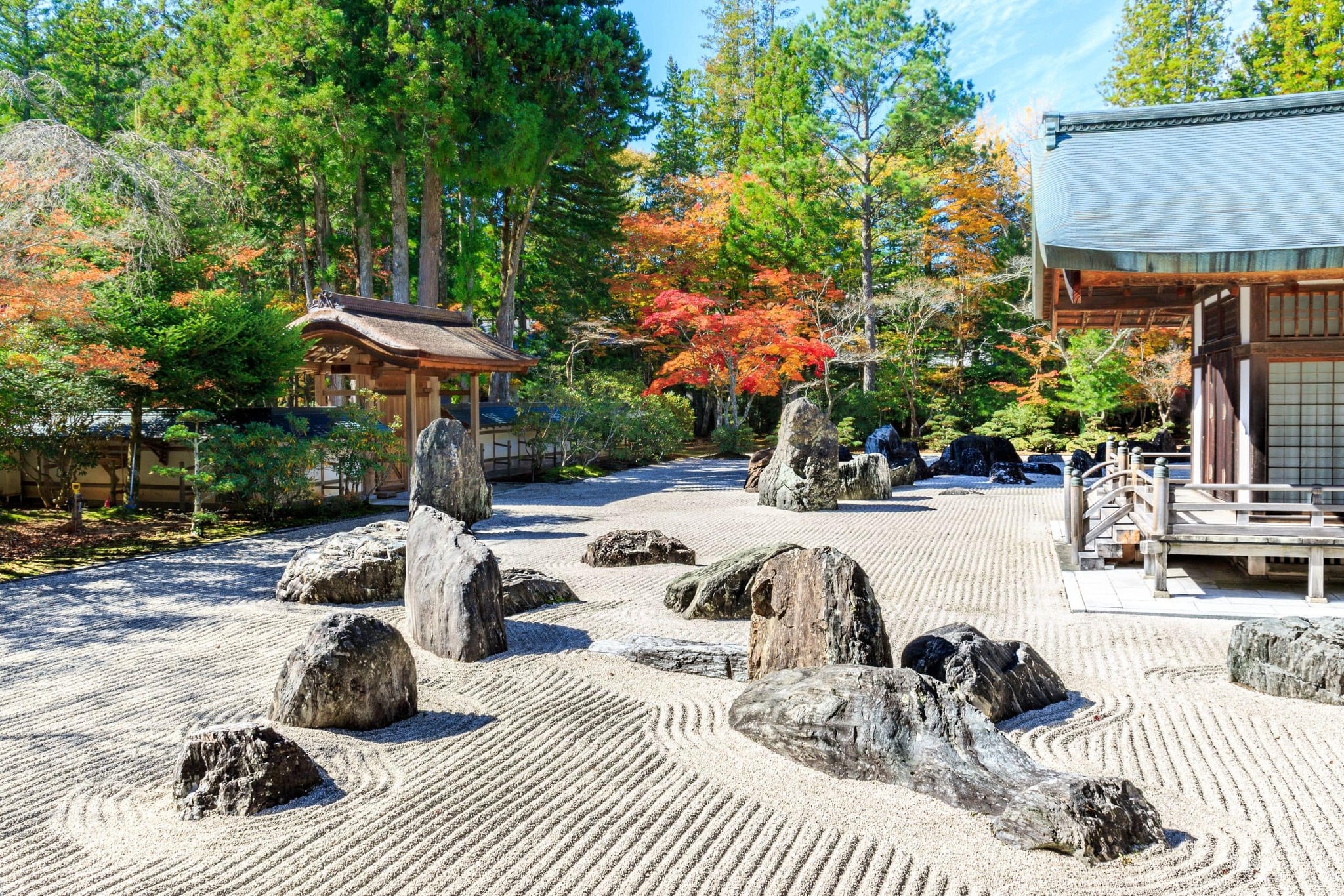 Momiji Zen – 12-23 nov 2026 12 Momiji Zen – 12-23 nov 2026 - Image 12