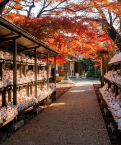 Momiji Zen – 12-23 nov 2026 17 3 GU0003ES