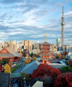 Momiji Zen – 12-23 nov 2026 23 9 GU0003ES