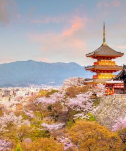 Crucero Sakura – 22 mar - 11 abr 2027 20 GU0018ES 3 templo kiyomizu dera kioto