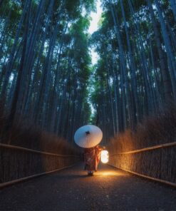 Puente de diciembre en Japón: un invierno relajado – 27 NOV – 9 DIC 2026