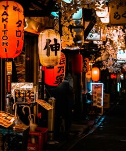 Puente de diciembre en Japón: un invierno relajado – 27 NOV – 9 DIC 2026 12 GU0019ES 3 Callejuela de Omoide Yokocho en Tokio