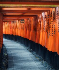 Puente de diciembre en Japón: un invierno relajado – 27 NOV – 9 DIC 2026 17 GU0019ES 9 Luz filtrandose entre los torii del santuario Fushimi Inari en Kioto